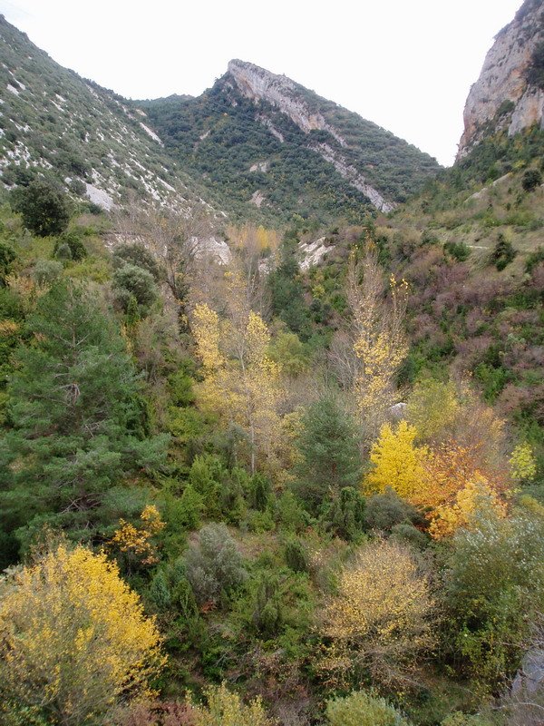 Arroilaren behealdeko bailara