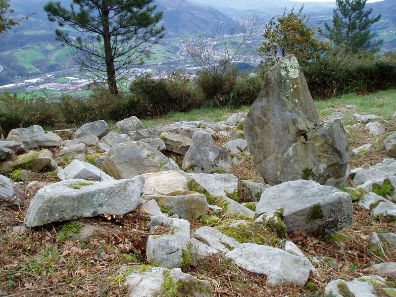 Belkoaineko trikuharria