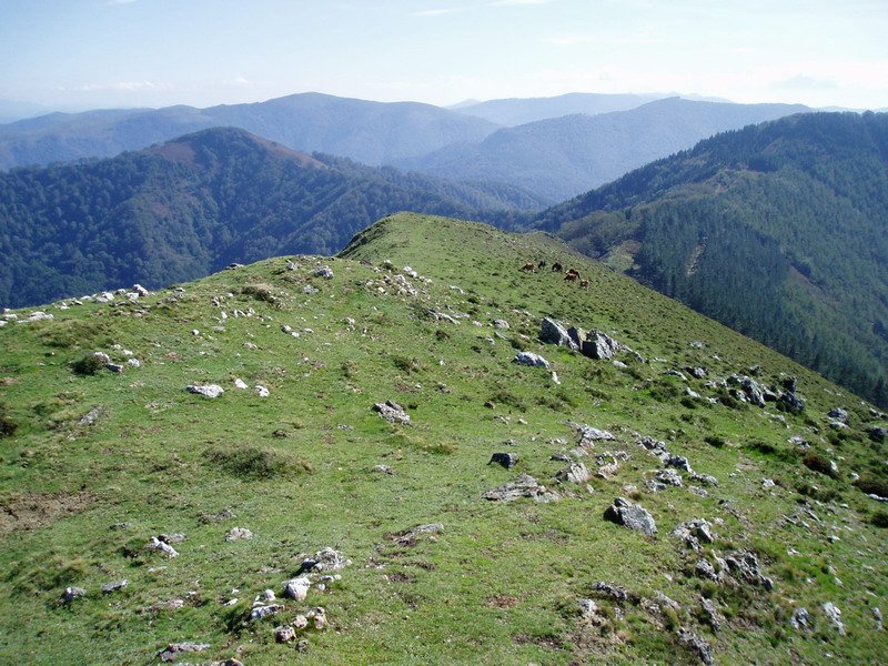 Hego-ekialdeko bizkarra