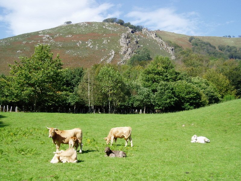 Intsusuko haitzak Izkibar atsedenlekutik ikusita