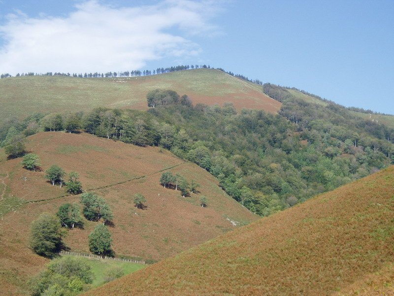 Hego-ekialdetik ikusita