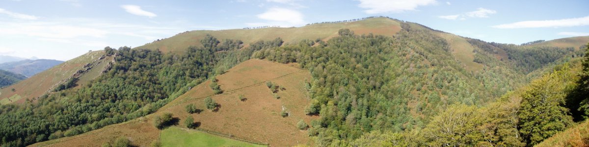 Hego-ekialdetik ikusita