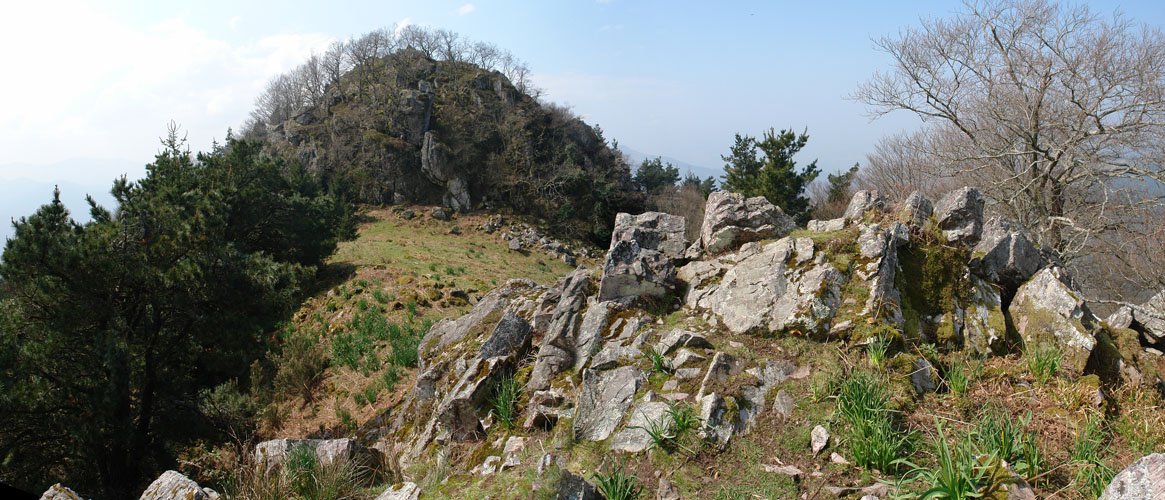 Tontorra Iparraldeko bizkarretik