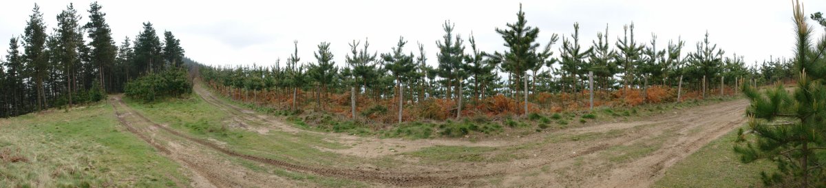 Urnobieta eta Azkarate arteko bidea