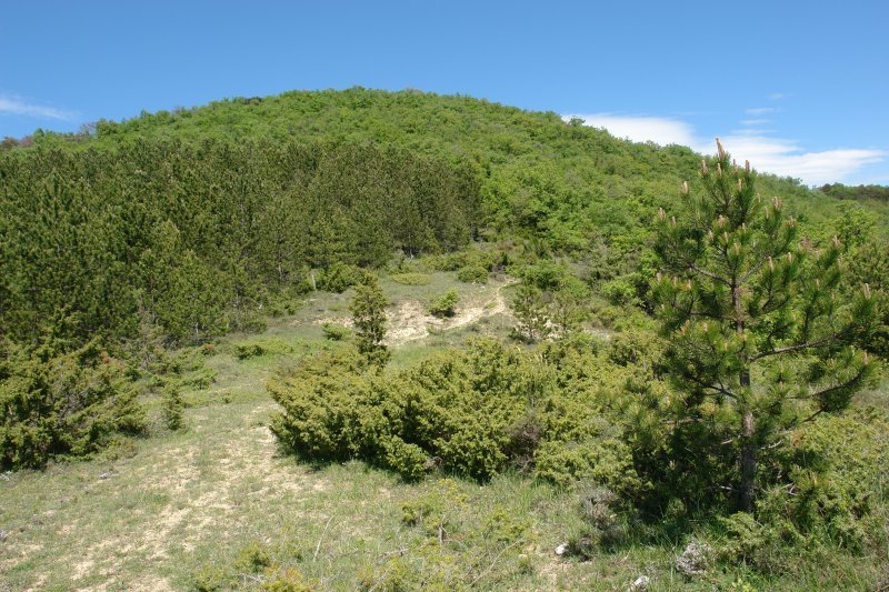 Hegoaldeko isurialdea, tontorretik gertu