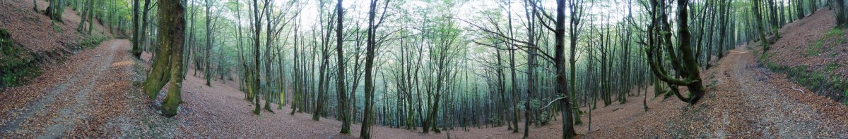 Uitzi mendatetik igotzen den bidea