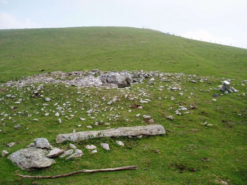 Bi Aizpen Sepulture trikuharria
