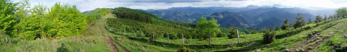 Kortazar eta Atxolin arteko bideko pasarte bat