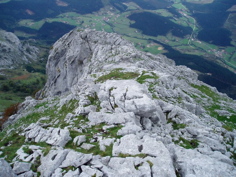 Iparraldeko gandorra