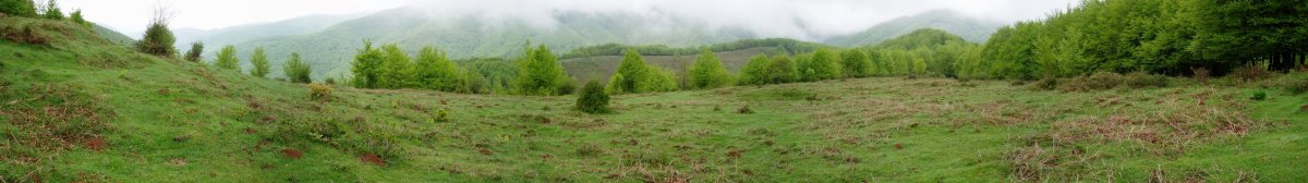 Eskuñeta inguruko paisaia