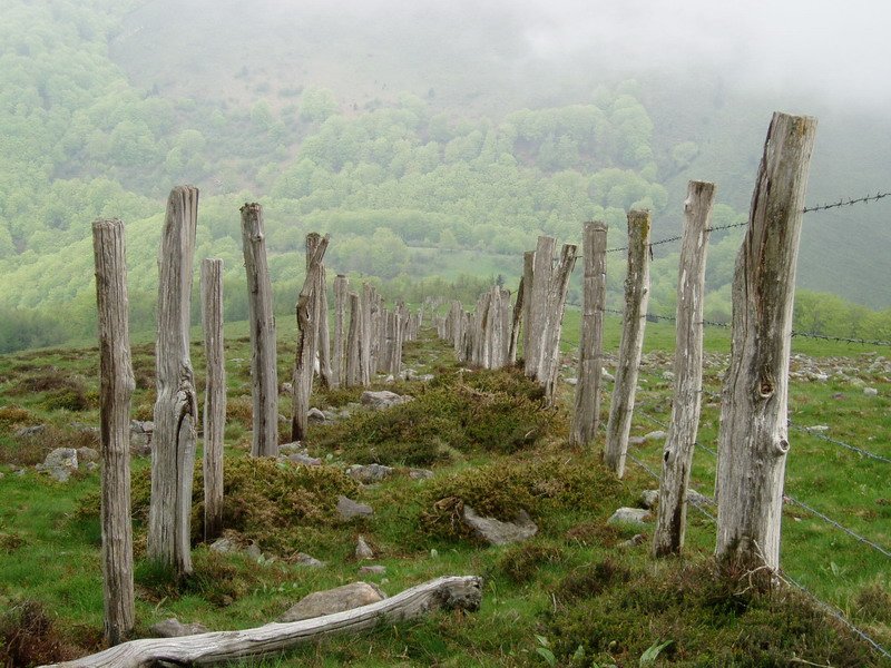 Hesi bikoitza mendebaldeko maldan