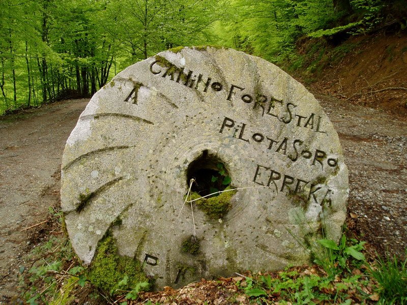 Errotarria bidegurutze batetan