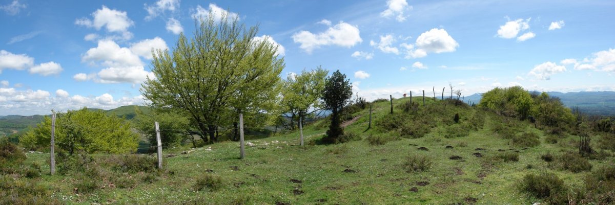 San Kristobal: tontorra