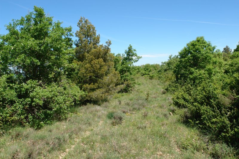 Gandorreko bideko pasarte bat