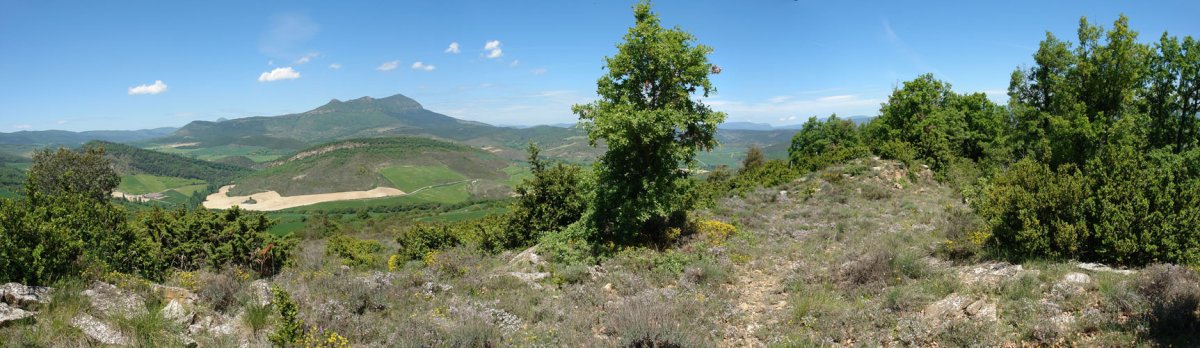 Iparraldeko gandorreko pasarte bat