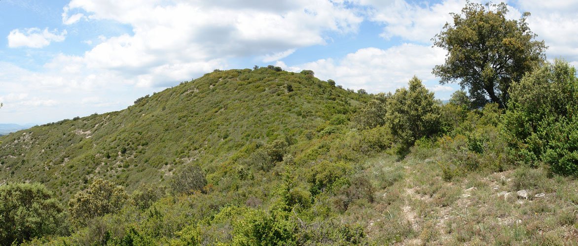 Hegoaldeko bizkarretik