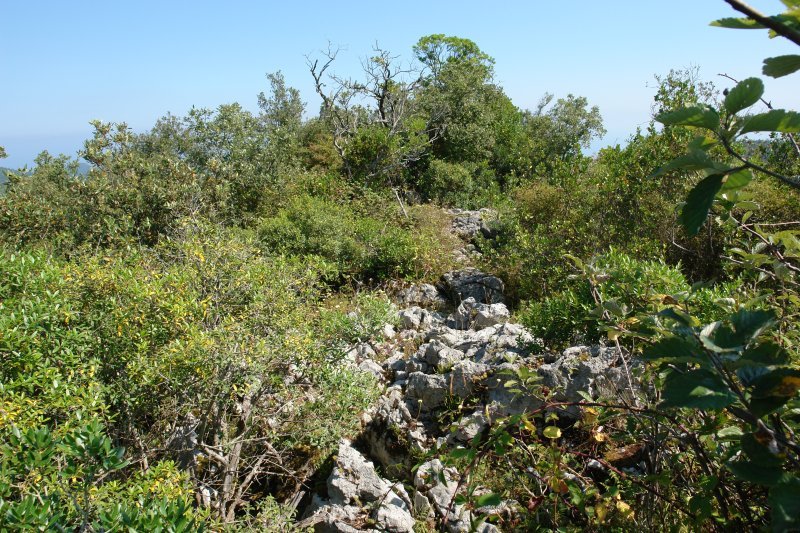 Gain aldeko bidea, tontorretik gertu