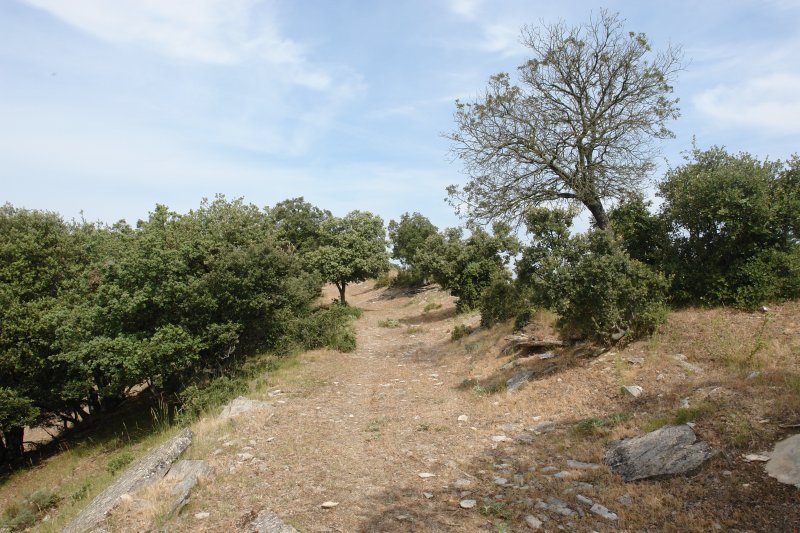 Ekialdeko bizkarreko bidea