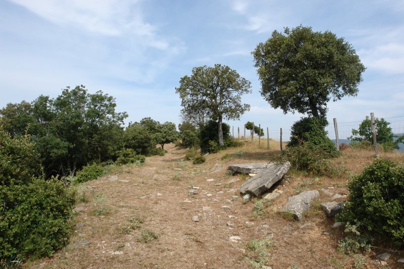 Ekialdeko bizkarreko bidea