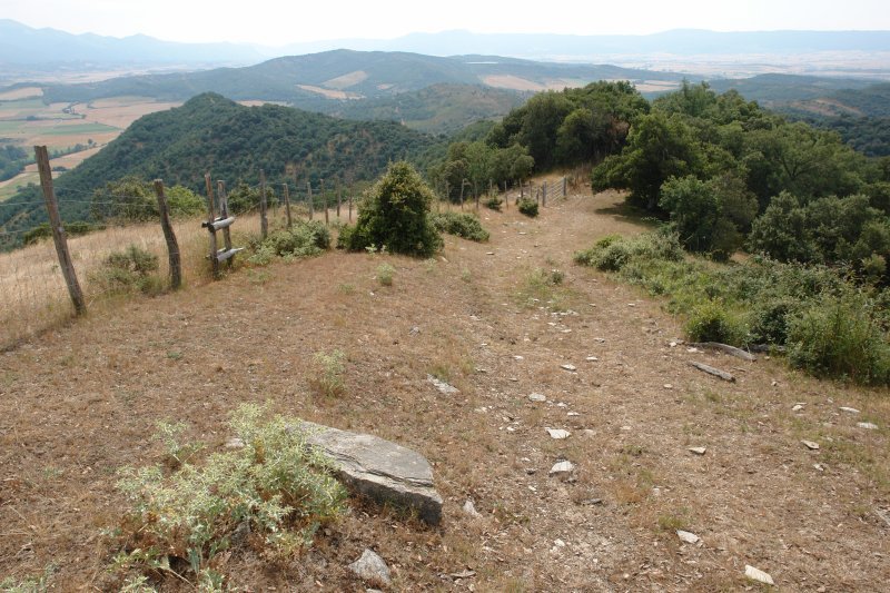 Ekialdeko bizkarra goitik