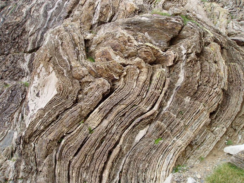 Geruzen tolestura bitxia