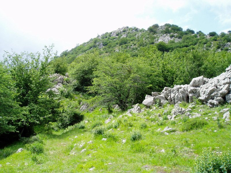 Hego-ekialdetik ikusita