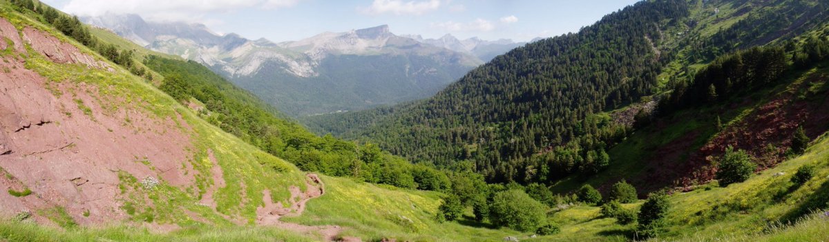 Selva de Ozatik igotzen den bidea basotik irteten den lekutik beherantz begira
