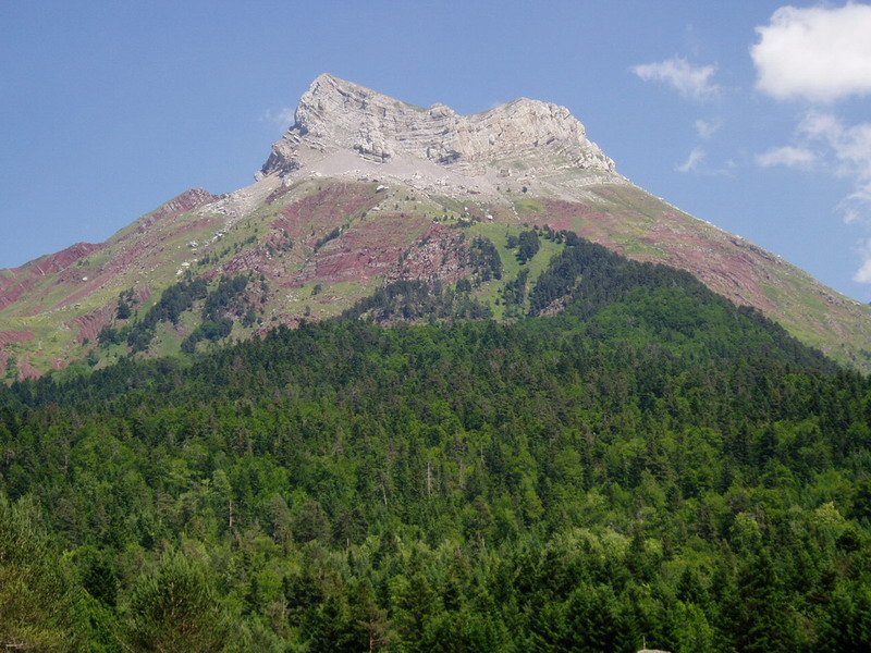 Selva de Ozatik ikusita