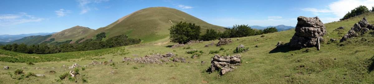 Xuriain aldetik ikusita