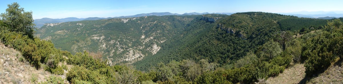 Erdiko tontorretik IEra begira