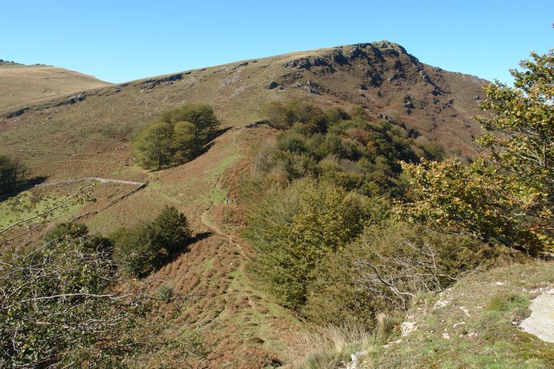 Barda eta Gorostiko lepoa