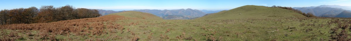 Gain aldeko panoramika