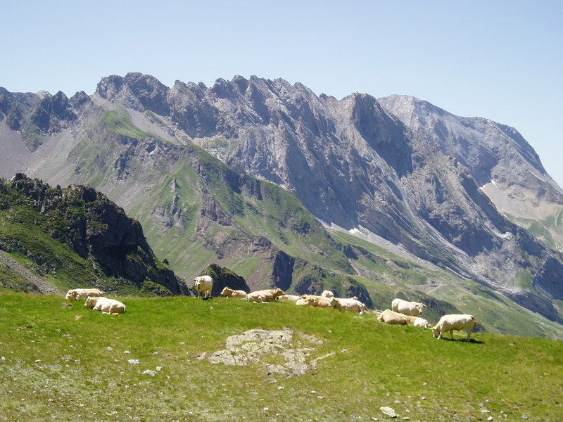 Ekialdetik ikusita, Louesqueko zirkuaren sarreratik