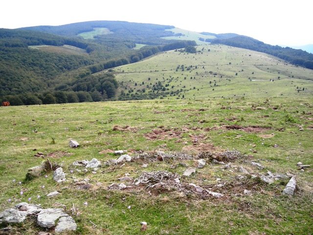 Korona  Lerdengibeletik