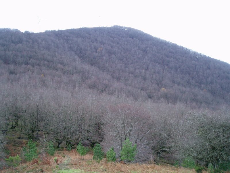 Keixtuigaña ipar-ekialdetik ikusita