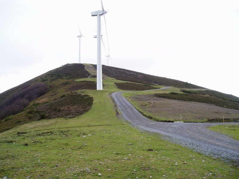 Zepoleku lepotik ikusita, mendebaldetik