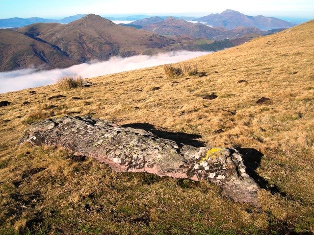 Maistrugaineko zutarria