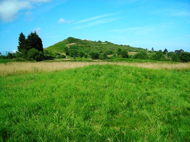 Iturrietako  trikuharria