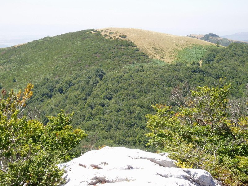 Burgalaitzetik ikusita