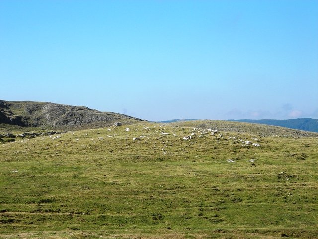 Saratsako  trikuharria