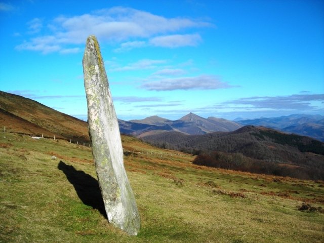 Iruñarriko  zutarria 