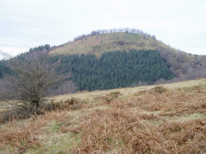 Unanibi hego-ekialdetik ikusita