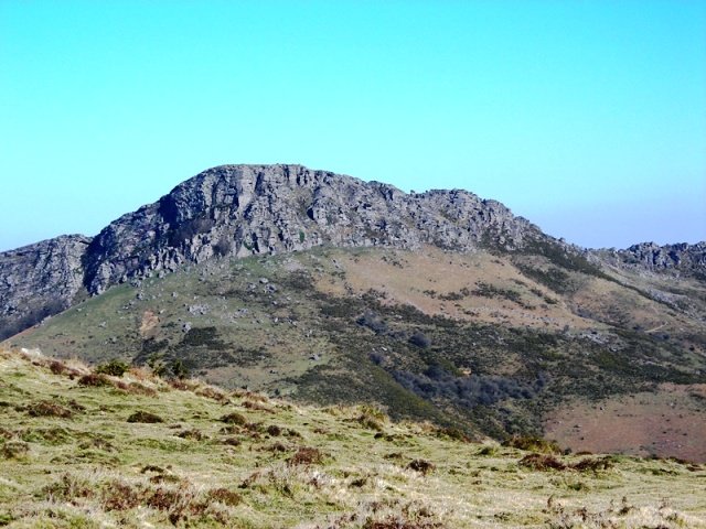 Arxuria, Altsoroiko lepotik