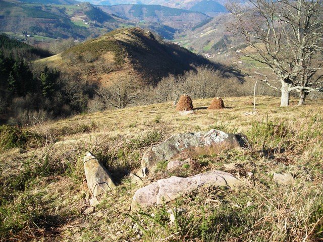 Artolako trikuharria 