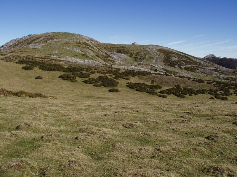 Pallardi, hegotik ikusita