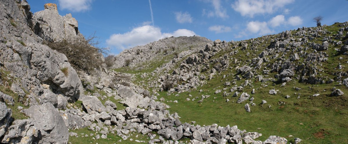 Urdileko lepotik gorako bideko pasarte bat