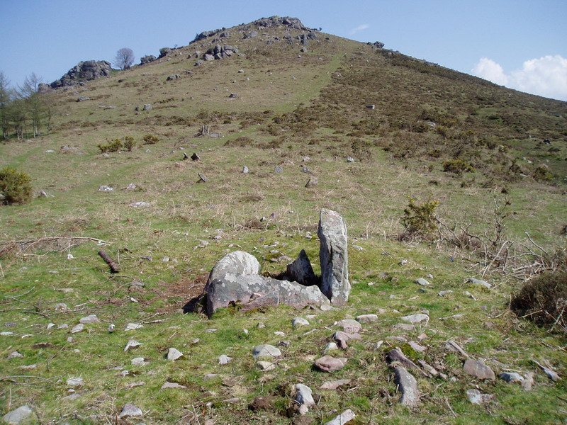 Ibaineta lepoko trikuharria