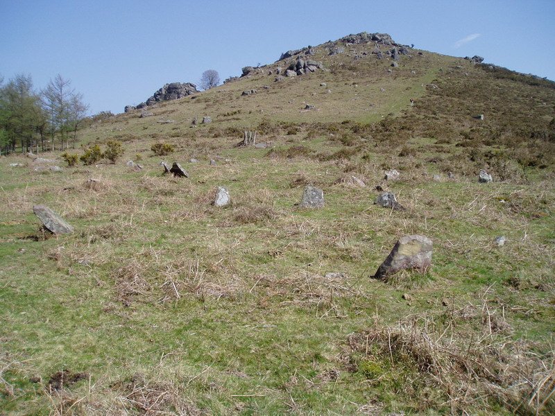 Ibaineta lepoko mairubaratzak