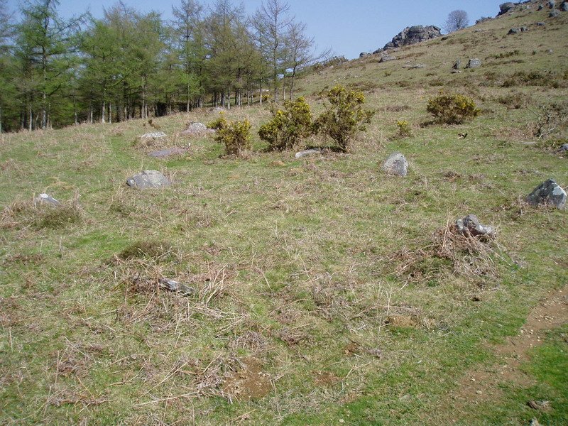 Ibaineta lepoko mairubaratzak