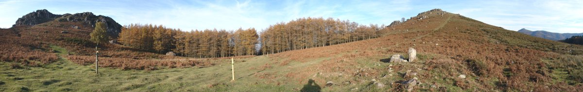 Ibaineta lepoa, Arxuria eta Mendibil artean